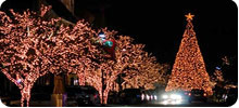 led chrisrmas/tree lights