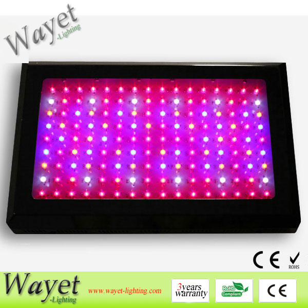 300w LED grow light (3w LED chip)