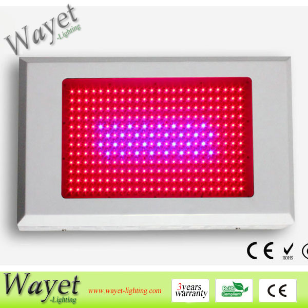 600w LED grow light (3w LED chip)