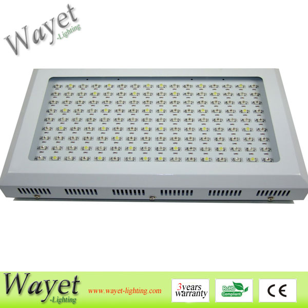 144X2W LED Grow Light